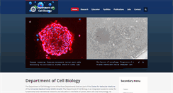 Desktop Screenshot of cellbiology-utrecht.nl